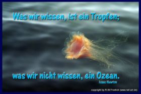 was wir wissen ist ein tropfen-1.jpg