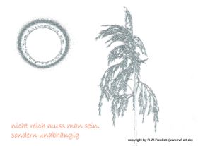 sonnenhalm-nicht riech muss.jpg