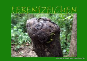 LEBENSZEICHEN.jpg