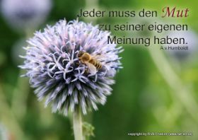eigene meinung.jpg