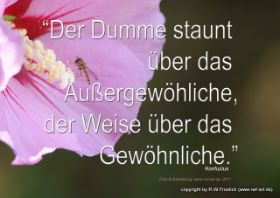 der dumme staunt.jpg