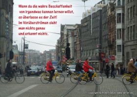 adamspruch.jpg
