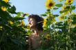 lu-sonnenblumen.jpg